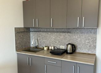 Сдам в аренду квартиру студию, 24.5 м2, Санкт-Петербург, проспект Будённого, 19к2, Красносельский район