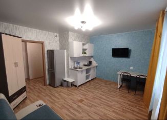 Сдам в аренду квартиру студию, 26 м2, Красноярский край, улица Серова, 8