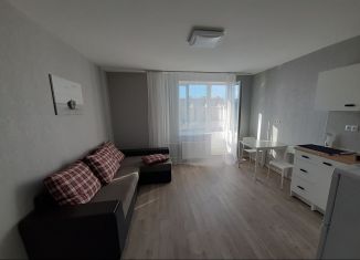 Сдам в аренду квартиру студию, 24 м2, Мурино, Екатерининская улица, ЖК Виктория