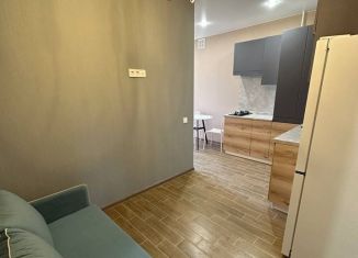 Сдается 1-ком. квартира, 33 м2, Тверь, Петербургское шоссе, 49к1, Заволжский район