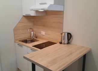 Аренда квартиры студии, 21 м2, Мурино, Воронцовский бульвар, 17, ЖК Алфавит