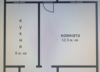 Продается 1-ком. квартира, 28.3 м2, село Павловск, Заводская улица, 3