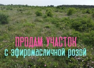 Продам земельный участок, 350 сот., село Викторовка