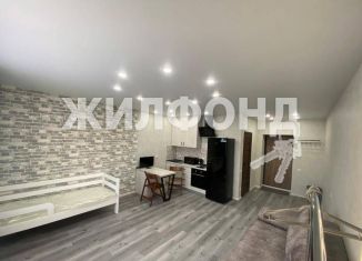 Продажа квартиры студии, 30.3 м2, рабочий посёлок Краснообск, 2-й микрорайон, 250