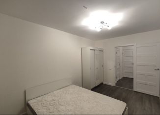 Сдается в аренду 1-комнатная квартира, 41.7 м2, поселок Бугры, Гаражный проезд, 27к2, ЖК Новые Горизонты