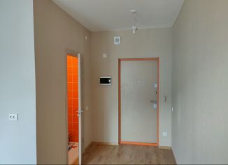 Продается квартира студия, 22.9 м2, посёлок Парголово, Толубеевский проезд, 8к2