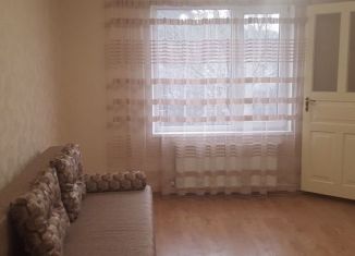 Дом в аренду, 35 м2, село Лозовое, Ялтинская улица, 58