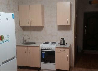 Аренда квартиры студии, 23 м2, Краснодар, улица им. Героя Яцкова И.В., 17, микрорайон Губернский