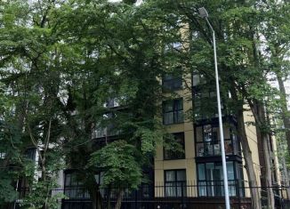 Сдается 2-ком. квартира, 44 м2, Светлогорск, Калининградский проспект, 101к1