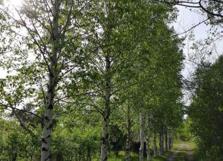 Продам дачу, 10 м2, Еврейская АО