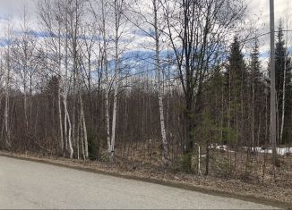 Участок на продажу, 16 сот., поселок Гусевка