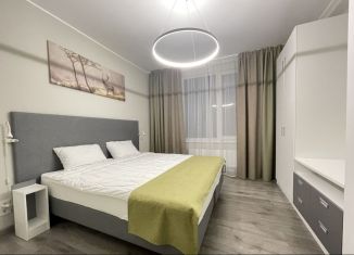 2-комнатная квартира в аренду, 50 м2, Санкт-Петербург, Витебский проспект, 101к1, метро Купчино