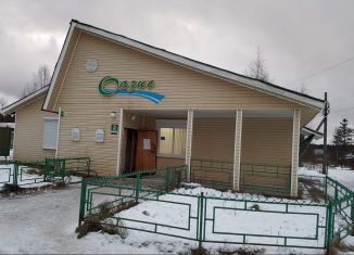 Продаю помещение свободного назначения, 189.4 м2, Питкяранта, улица Рудакова, 8А