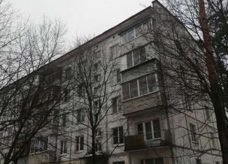 Аренда двухкомнатной квартиры, 48 м2, Электроугли, Советская улица, 13