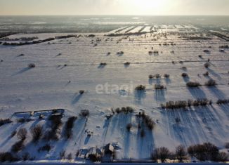 Земельный участок на продажу, 89.3 сот., поселок Турдеевск, Турдеевская улица