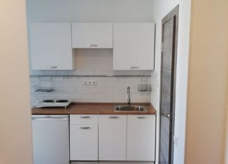 Сдам квартиру студию, 18 м2, Люберцы, улица Лётчика Ларюшина, 4к1, ЖК Жулебино Парк