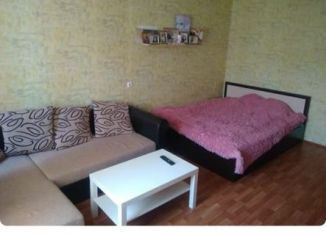 Продается 1-комнатная квартира, 42.6 м2, Санкт-Петербург, Красносельское шоссе, муниципальный округ Горелово