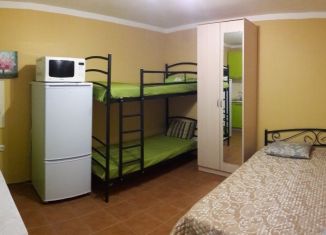 Сдается квартира студия, 25 м2, СТ Дельфин, СТ Дельфин, 296