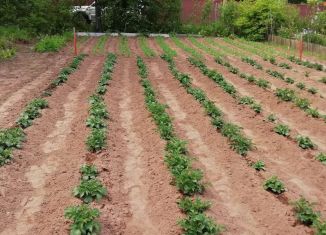 Продажа земельного участка, 6 сот., Елизово