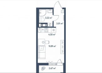 Квартира на продажу студия, 22 м2, Санкт-Петербург, муниципальный округ Московская Застава