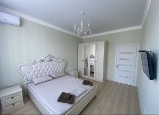 Аренда 1-комнатной квартиры, 43 м2, Ставропольский край, Мельничный переулок, 20Ак1