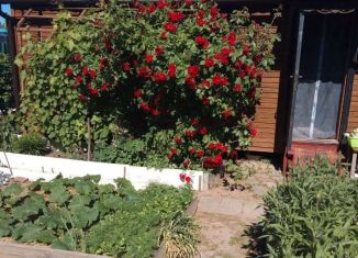 Продам дачу, 24 м2, Коломна, СНТ Надежда, 21