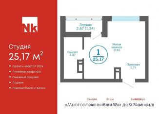 Продается квартира студия, 25.2 м2, деревня Патрушева