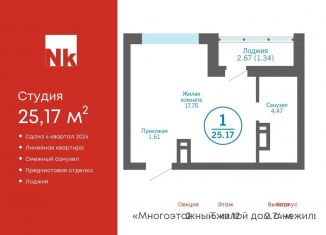 Продается квартира студия, 25.2 м2, деревня Патрушева