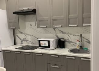 1-комнатная квартира в аренду, 43 м2, Краснодар, Гаражная улица, 87, ЖК Маршал