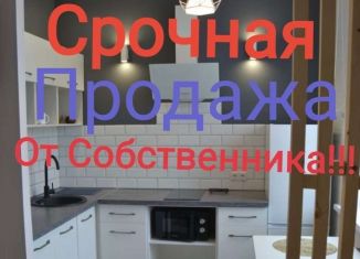 1-комнатная квартира на продажу, 40 м2, Республика Алтай, Заринская улица, 24