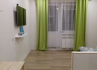 Сдаю в аренду квартиру студию, 27 м2, Тула, улица Конструктора Грязева, 8, ЖК Зеленстрой-2