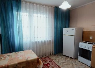 1-комнатная квартира в аренду, 40 м2, Краснодар, Зиповская улица, 41, микрорайон ЗИП