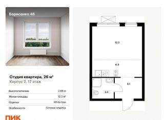 Продается квартира студия, 26 м2, Приморский край