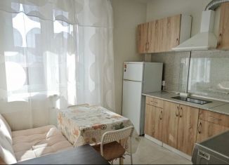 1-комнатная квартира в аренду, 31 м2, Московская область, улица Калинина, 24