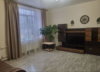 Аренда 1-комнатной квартиры, 26 м2, Ленинградская область, Спортивная улица, 7