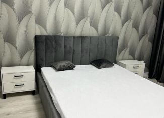 Сдаю 2-комнатную квартиру, 75 м2, Ставропольский край, Советская улица, 123к1