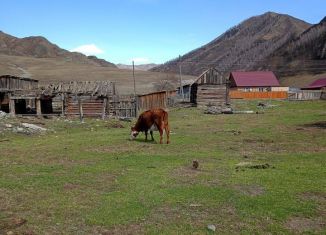 Земельный участок на продажу, 28 сот., Республика Алтай