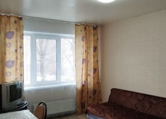 Сдается в аренду 1-комнатная квартира, 32 м2, Челябинск, улица Овчинникова, 5, Советский район