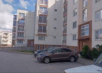 Сдача в аренду однокомнатной квартиры, 46 м2, Ленинградская область, Социалистическая улица, 15
