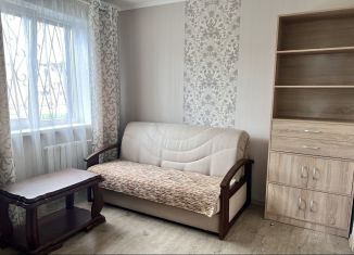 Сдается в аренду 1-комнатная квартира, 30 м2, Екатеринбург, Белореченская улица, 17к6, Верх-Исетский район