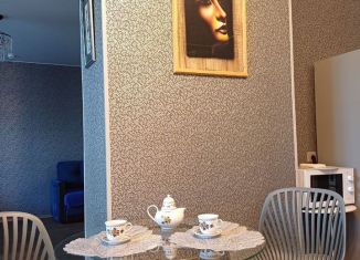Сдается в аренду 1-ком. квартира, 68.6 м2, Екатеринбург, улица Юмашева, 13, метро Динамо