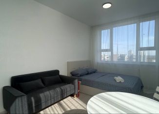 Сдается квартира студия, 25.6 м2, Екатеринбург, улица Фрунзе, 31