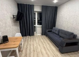 Аренда квартиры студии, 28 м2, деревня Куюки, Молодёжная улица, 29