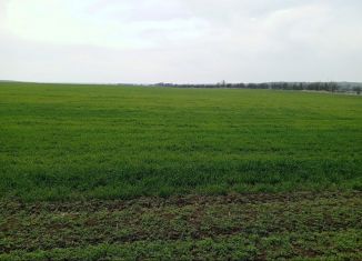 Продажа земельного участка, 450 сот., село Луговое, Воронежская улица