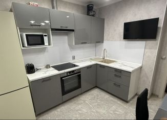 Аренда однокомнатной квартиры, 37.5 м2, Краснодар, улица имени Снесарева, 10к1, микрорайон Гидрострой