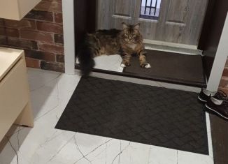 Продам 2-комнатную квартиру, 56.9 м2, Люберцы, улица 8 Марта, 12к1, ЖК Люберцы Парк