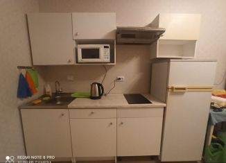 Продам квартиру студию, 22 м2, Мурино, ЖК Графика, Екатерининская улица, 16/5