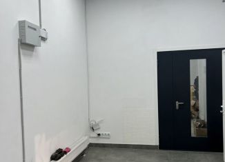 Сдача в аренду помещения свободного назначения, 40 м2, Санкт-Петербург, улица Дыбенко, 5к1, муниципальный округ № 54