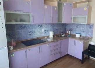 Сдам 1-ком. квартиру, 47 м2, Чебоксары, улица Фёдора Гладкова, 34, Ленинский район