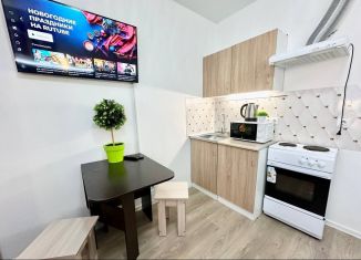 Сдается квартира студия, 31.3 м2, Екатеринбург, Полимерный переулок, 11